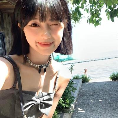 鸽之翼
